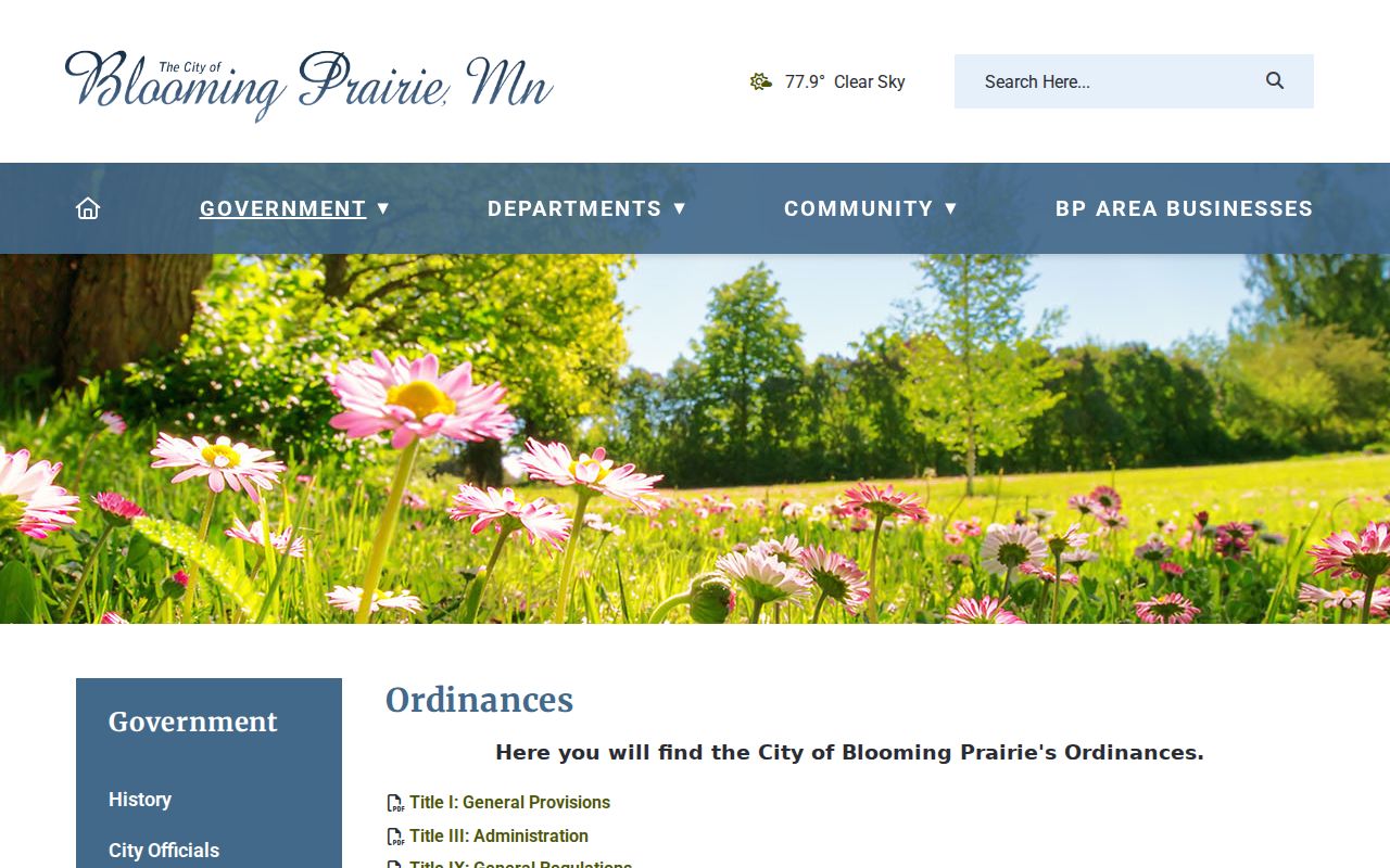 Steele County court calendar context on Blooming Prairie ordinance page