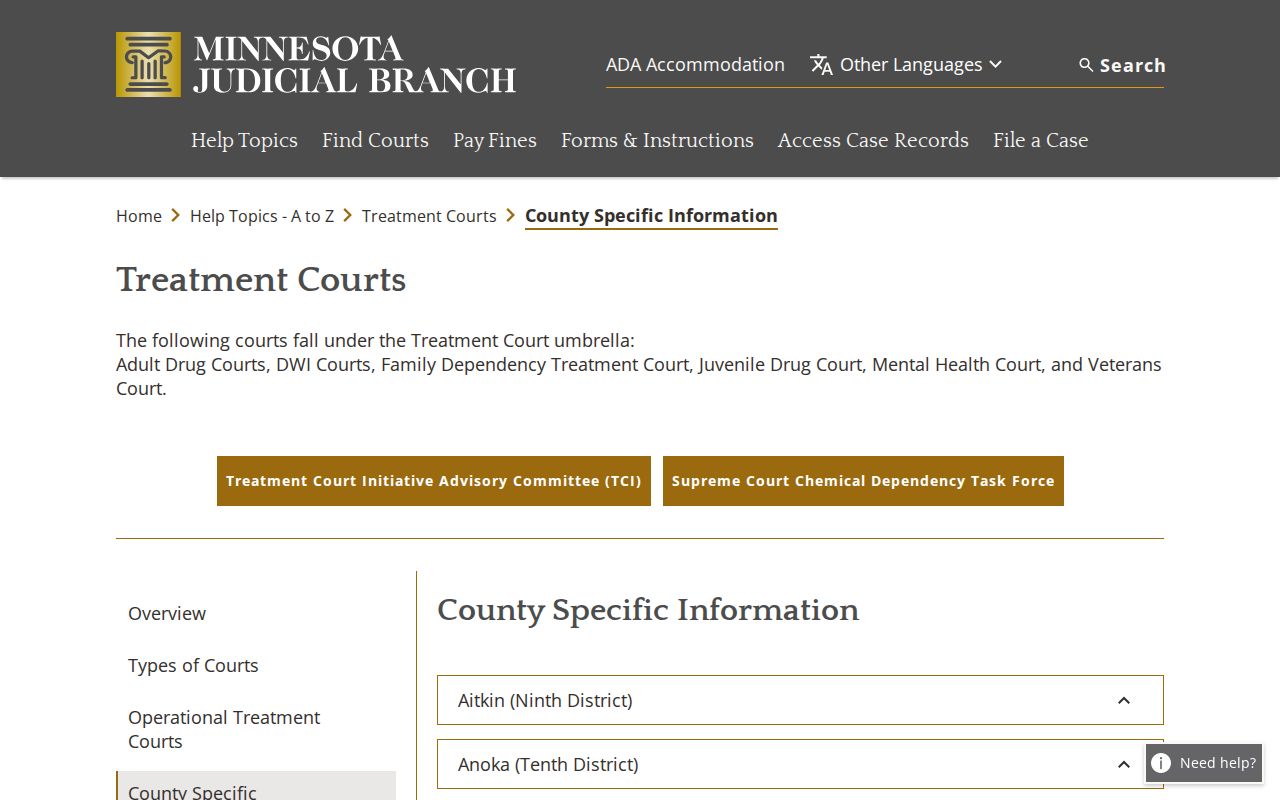 Steele County criminal docket Third Judicial District Veterans Treatment Court listing
