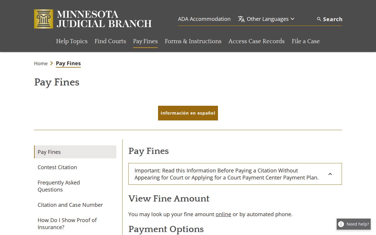 Steele County traffic court records Minnesota pay a fine instructions